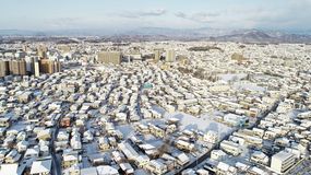 降雪から一夜明けた宇都宮市内