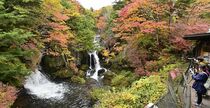 竜頭の滝、紅葉が見頃　奥日光