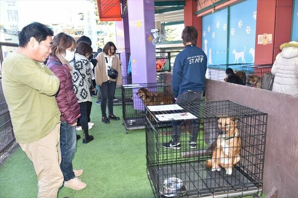 那須ハイランドパークでの譲渡会