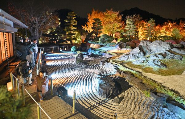 ライトアップされる紅葉が見頃となった日本庭園＝８日午後５時35分、佐野市閑馬町