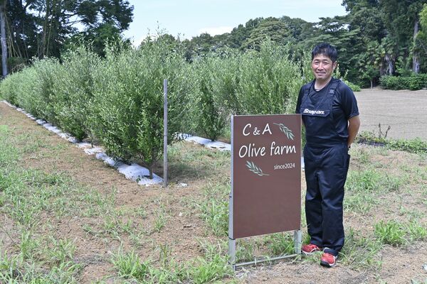 オリーブの栽培に挑み「つながりを強めたい」と語る関根さん