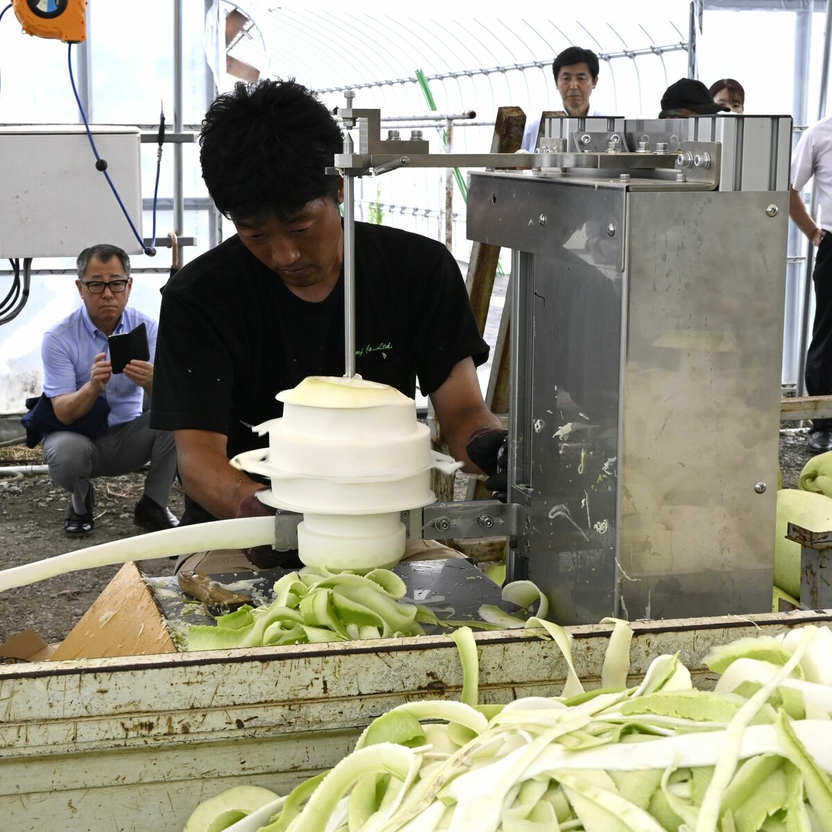 新たなかんぴょうむき機販売へ 壬生で実証試験 生産者を保護、新規参入