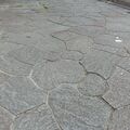 ミッキー、イルカ、栃木県･･･　一体なぜ？ 宇都宮・田川の遊歩道敷石に隠れマーク