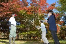 いとこの遺志継ぎ「もみじ園」　茂木の上野さん、観光資源化へ町も支援