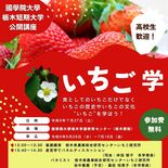 イチゴの歴史や文化学ぼう　国栃短大が７月に公開講座、参加者募集
