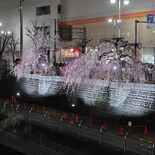 宮の橋、田川遊歩道のイルミネーションを初実施　宇都宮駅西口を活性化　６…