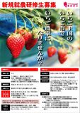 いちご市で１，０００万円稼ごう！～いちご農家になりたい？　　~2019年1月31日
