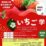 イチゴの歴史や文化学ぼう　国栃短大が７月に公開講座、参加者募集