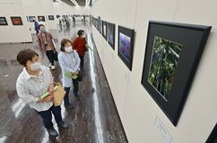 しもつけ写真大賞展始まる　宇都宮