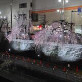 宮の橋、田川遊歩道のイルミネーションを初実施　宇都宮駅西口を活性化　６日から