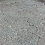 ミッキー、イルカ、栃木県･･･　一体なぜ？ 宇都宮・田川の遊歩道敷石に隠れマーク
