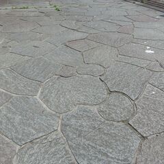 ミッキー、イルカ、栃木県･･･　一体なぜ？ 宇都宮・田川の遊歩道敷石に隠れマーク