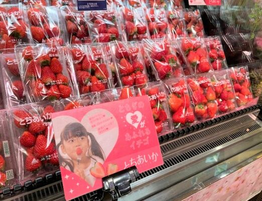 とちあいかの特徴を掲示したスーパーの販売コーナー＝川崎市
