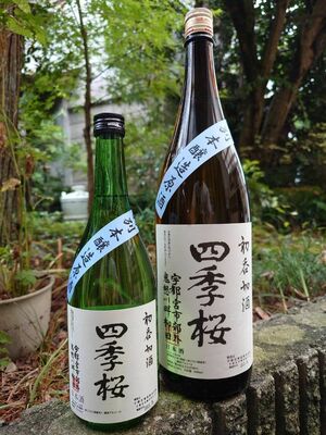 宇都宮酒造の「四季桜　特別本醸造初呑切酒」