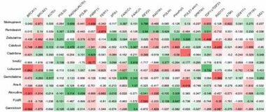 ヌクレオシドアナログ製剤に対する細胞抵抗性に関わる DNA修復因子群の包括的理解