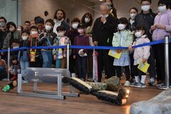 いきもの「スゴテク」にビックリ　なかがわ水遊園で春の企画展