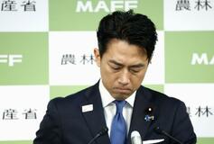 小泉氏、投稿要請巡り陳謝