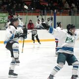 冬季スケート国民スポーツ大会総評　栃木県躍進、天皇杯15位　アイスホッケー成年、多世代チームで準Ｖ