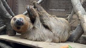 室内展示場を新設