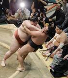 熱海富士、安青錦 ３敗で並ぶ