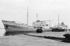 【日本とイランの歴史】原油調達、光と影交錯