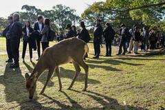 銃撃初公判、傍聴席の倍率22倍