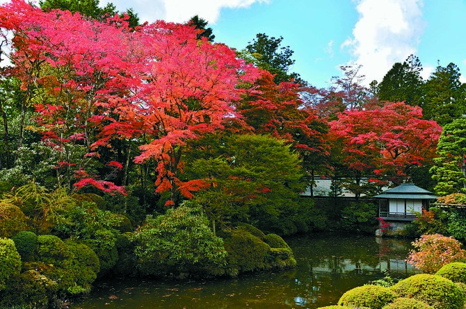 日光全山に生育しているモミジのほとんどが見られる逍遥園（提供写真）