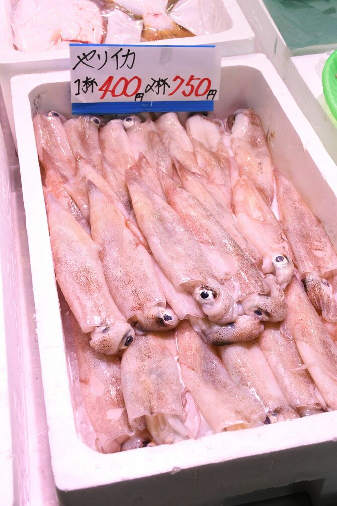全国的にはカニと同様に「杯」で数えられるイカは、鳥取県でも１杯と表記している。なぜカニだけ杯ではないのか…