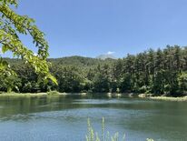 第７回「ＥＳＧファイナンス・アワード・ジャパン」の環境サステナブル企業…