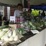 高級ホテルにも採用、珍しい品目が人気　ましこ西洋野菜研究会　発足３年、…