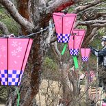 宇都宮・八幡山公園でぼんぼり取り付け始まる　花見期間中に点灯