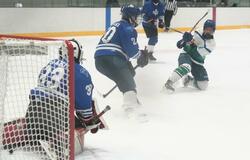 本県少年猛攻 ８強入り