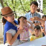 ペタンコ祭り４年ぶり復活　足利富士浅間神社　来月１日、記念品も用意