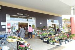 ＪＡかみつが日光森友直売所スマイル館 柔らかくて甘いアスパラガス