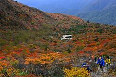 那須岳・姥ケ平の紅葉