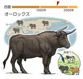 家畜となったウシの祖先