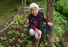 けさの顔（県央）