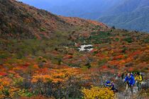 那須岳・姥ケ平の紅葉