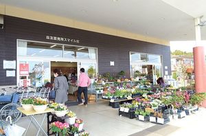 春の花々がお客様をお迎えする