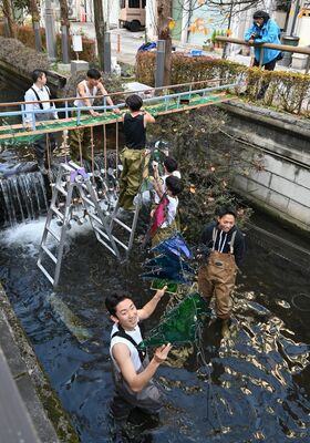 イルミネーションを設置する宇都宮工業高の生徒