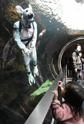 卯にちなみ、ウサギに扮して来園者を出迎えるダイバー