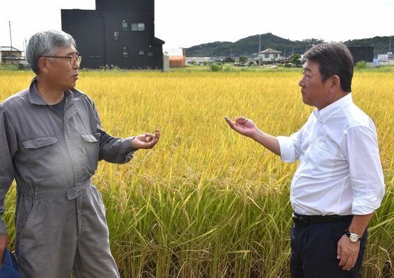 コメ農家と意見交換する茂木氏（右）＝15日午後、足利市大月町