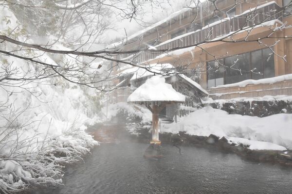 雪に包まれた那須町内の旅館。県内初の宿泊税導入に向けた動きを関係者も注視している＝２月中旬