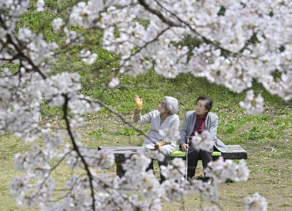 龍城公園の桜と花見客＝８日午前