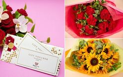 母の日・父の日におすすめの商品