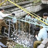 宇都宮の釜川にイルミネーション、宇都宮工業高生が製作　環境に配慮したエ…