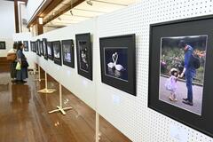 風景や動物写真 自信作６０点並ぶ
