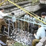 宇都宮の釜川にイルミネーション、宇都宮工業高生が製作　環境に配慮したエコな電飾