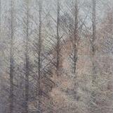 日常風景に感じる活力