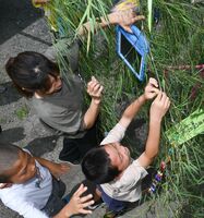 竹を飾り付ける児童ら
